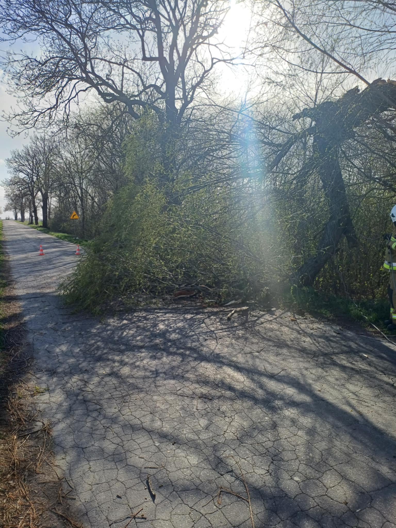 Zdjęcie 3
