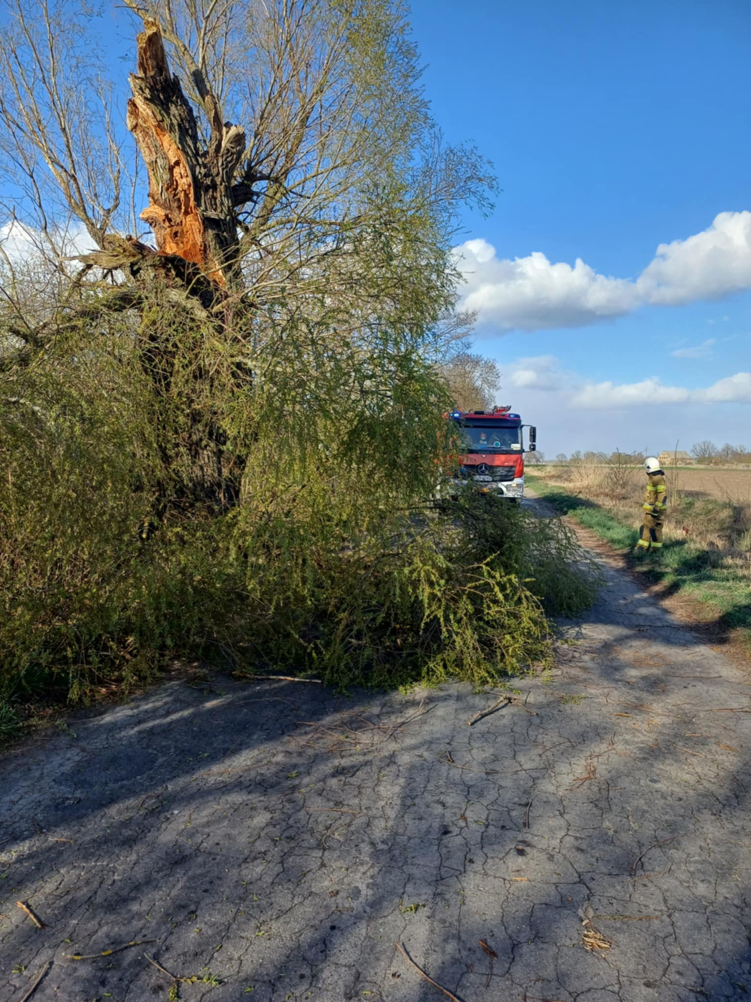 Zdjęcie 1