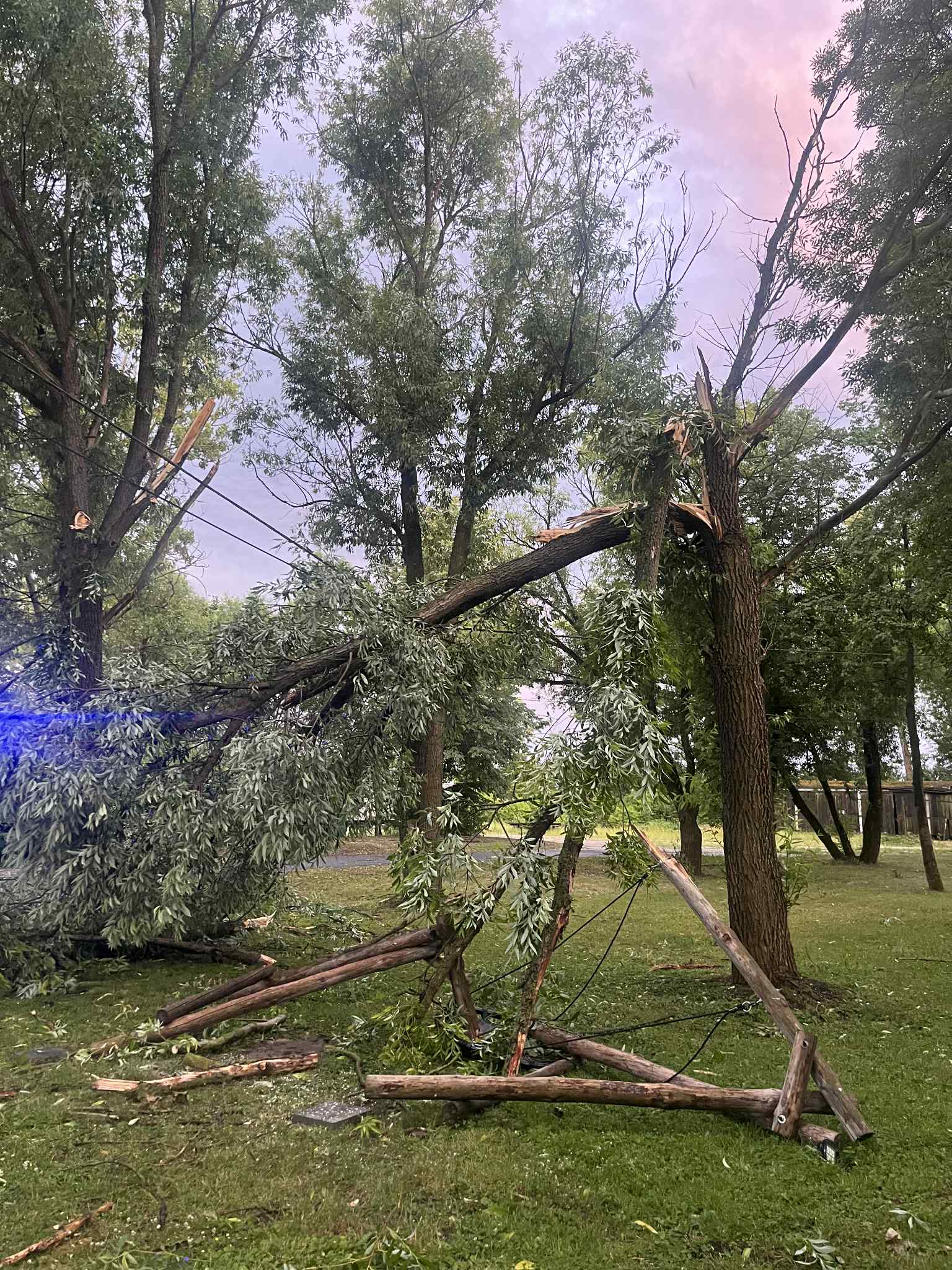Zdjęcie 1